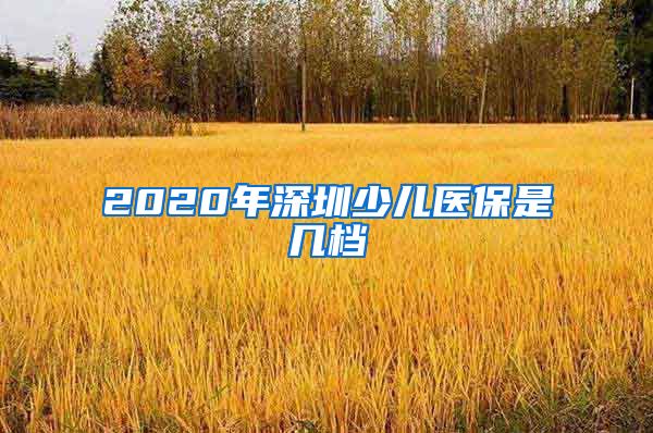 2020年深圳少儿医保是几档