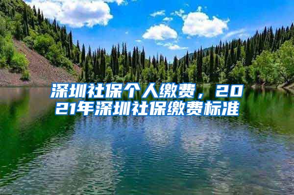 深圳社保个人缴费，2021年深圳社保缴费标准