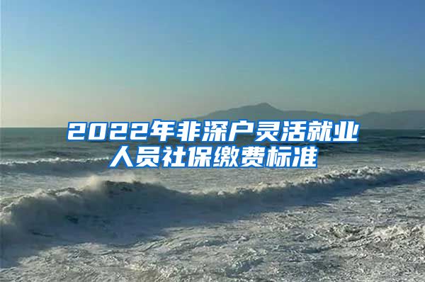 2022年非深户灵活就业人员社保缴费标准