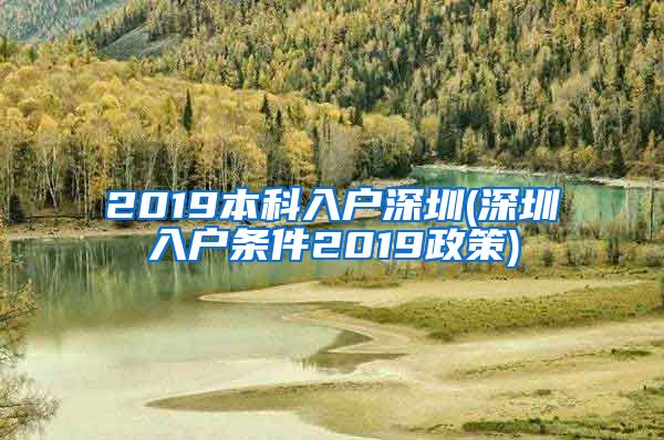 2019本科入户深圳(深圳入户条件2019政策)