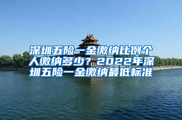 深圳五险一金缴纳比例个人缴纳多少？2022年深圳五险一金缴纳最低标准