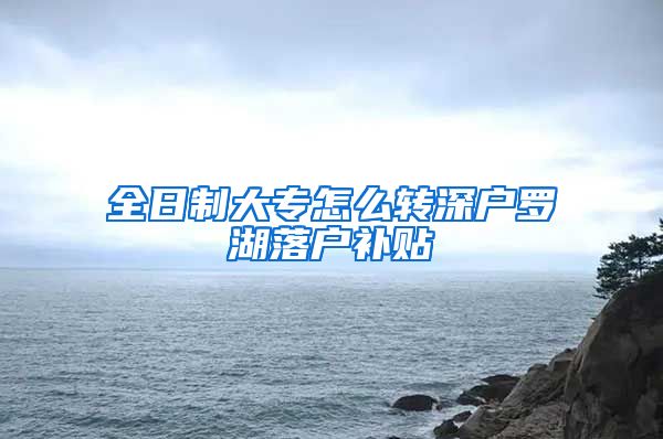 全日制大专怎么转深户罗湖落户补贴