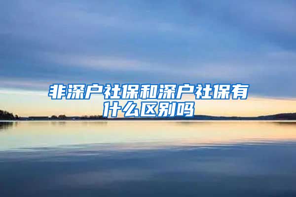 非深户社保和深户社保有什么区别吗