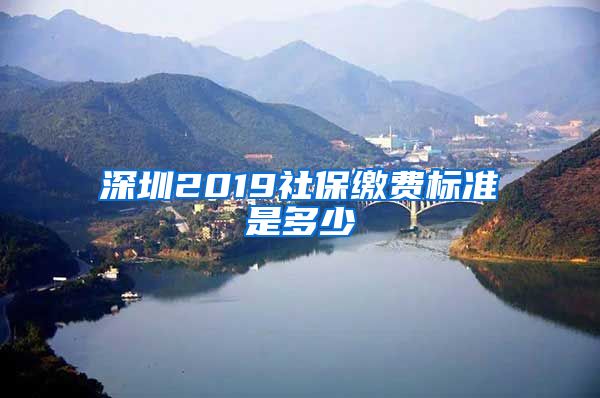 深圳2019社保缴费标准是多少