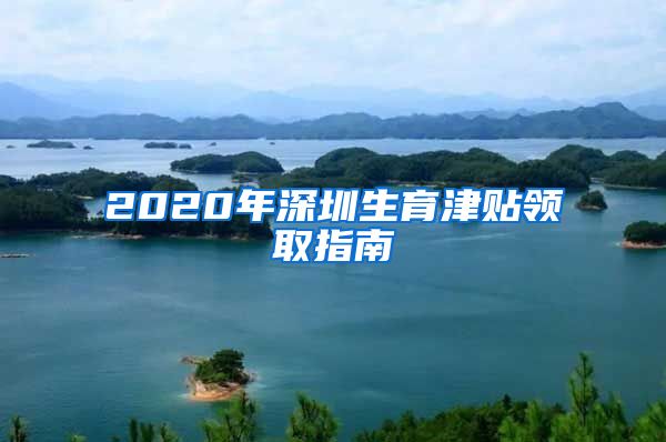 2020年深圳生育津贴领取指南