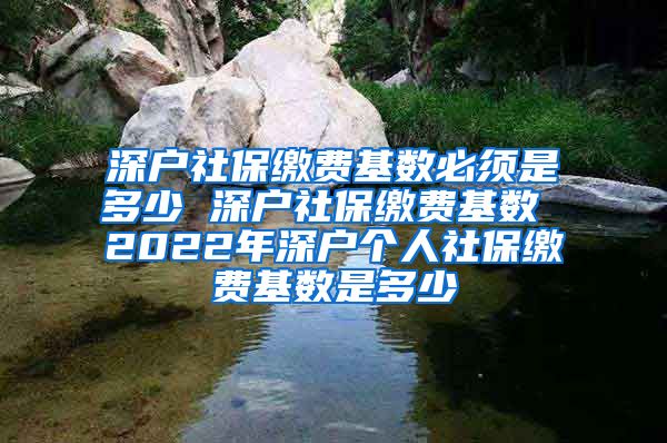 深户社保缴费基数必须是多少 深户社保缴费基数 2022年深户个人社保缴费基数是多少