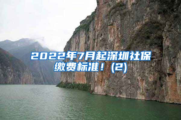 2022年7月起深圳社保缴费标准！(2)