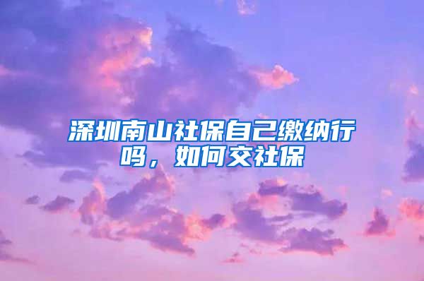 深圳南山社保自己缴纳行吗，如何交社保