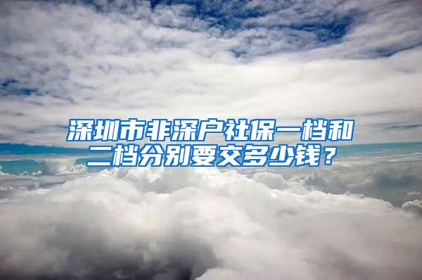 深圳市非深户社保一档和二档分别要交多少钱？