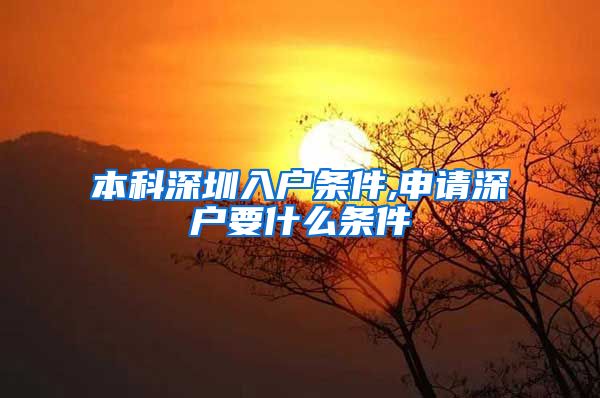 本科深圳入户条件,申请深户要什么条件