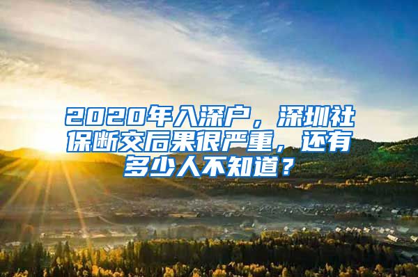 2020年入深户，深圳社保断交后果很严重，还有多少人不知道？