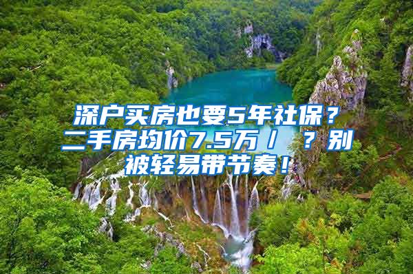 深户买房也要5年社保？二手房均价7.5万／㎡？别被轻易带节奏！