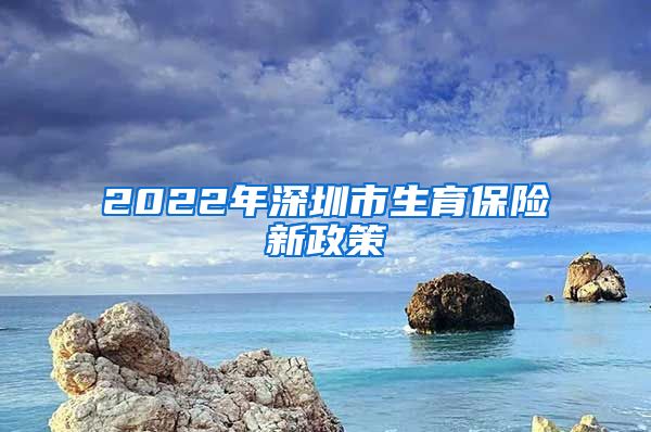 2022年深圳市生育保险新政策