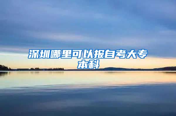 深圳哪里可以报自考大专本科