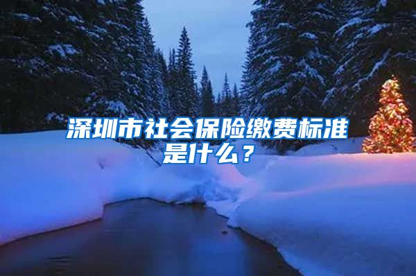 深圳市社会保险缴费标准是什么？