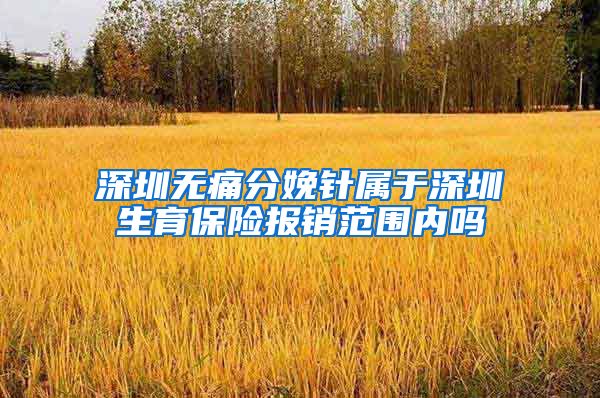 深圳无痛分娩针属于深圳生育保险报销范围内吗