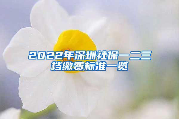 2022年深圳社保一二三档缴费标准一览