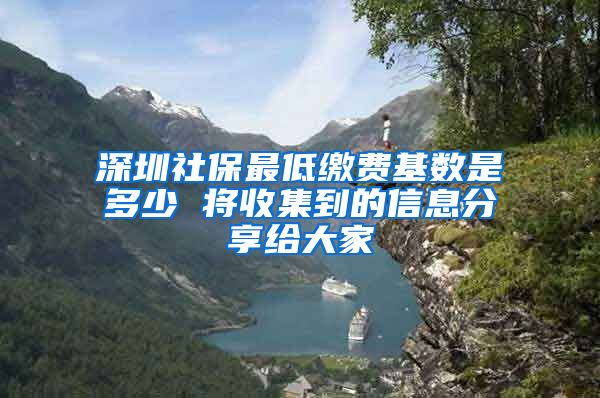 深圳社保最低缴费基数是多少 将收集到的信息分享给大家