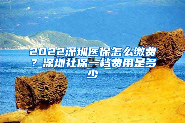 2022深圳医保怎么缴费？深圳社保一档费用是多少