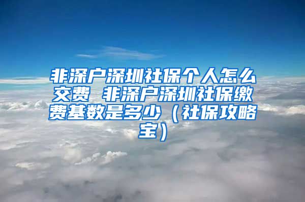 非深户深圳社保个人怎么交费 非深户深圳社保缴费基数是多少（社保攻略宝）