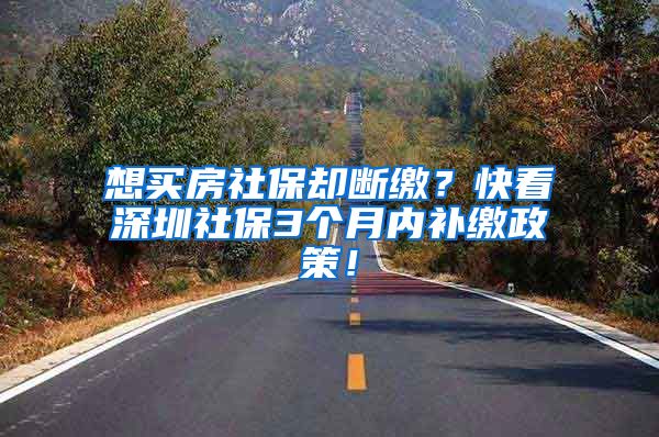 想买房社保却断缴？快看深圳社保3个月内补缴政策！