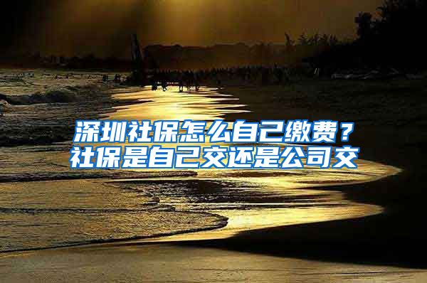 深圳社保怎么自己缴费？社保是自己交还是公司交