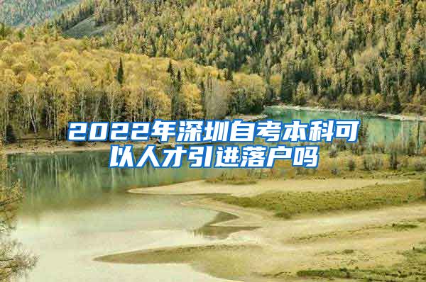 2022年深圳自考本科可以人才引进落户吗