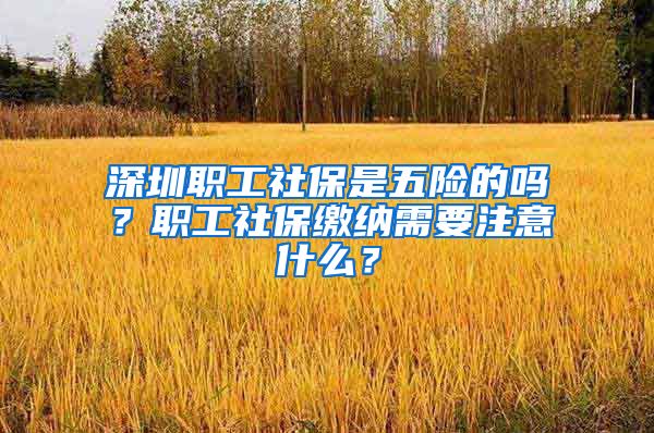 深圳职工社保是五险的吗？职工社保缴纳需要注意什么？