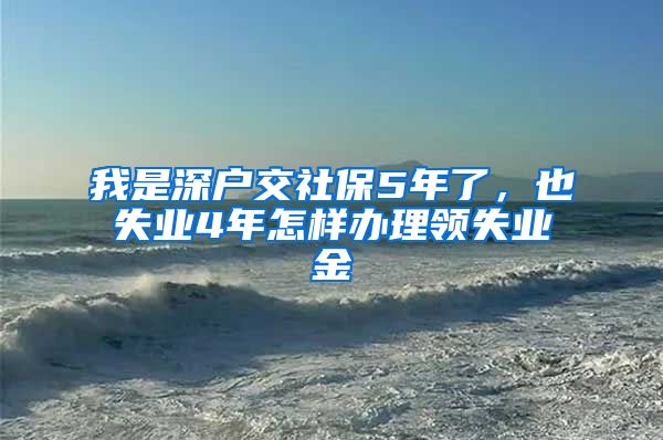 我是深户交社保5年了，也失业4年怎样办理领失业金