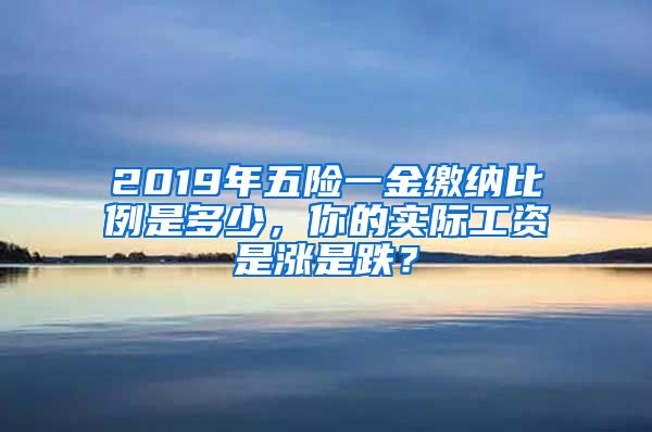 2019年五险一金缴纳比例是多少，你的实际工资是涨是跌？