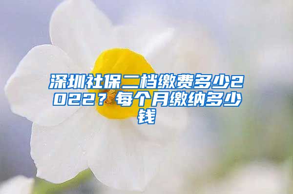 深圳社保二档缴费多少2022？每个月缴纳多少钱