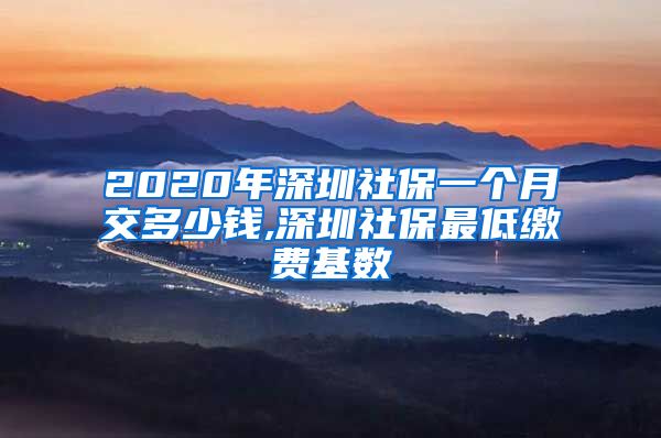 2020年深圳社保一个月交多少钱,深圳社保最低缴费基数