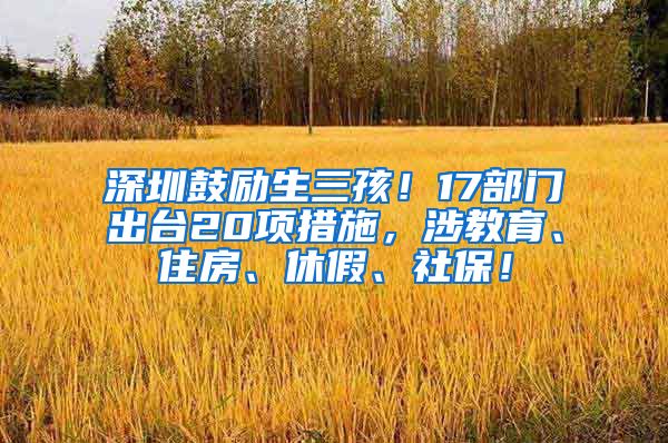 深圳鼓励生三孩！17部门出台20项措施，涉教育、住房、休假、社保！