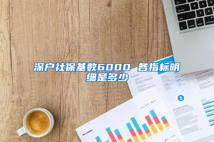 深户社保基数6000 各指标明细是多少