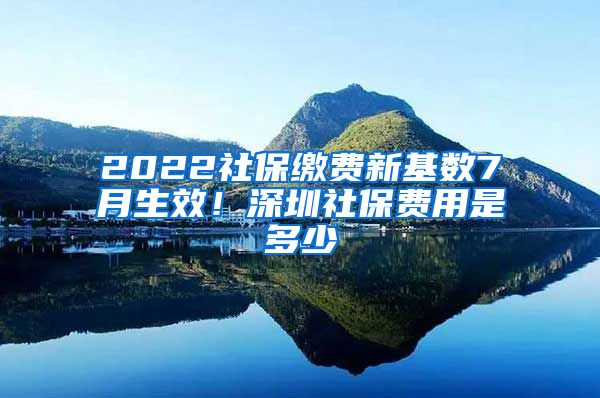 2022社保缴费新基数7月生效！深圳社保费用是多少