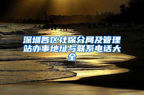 深圳各区社保分局及管理站办事地址与联系电话大全