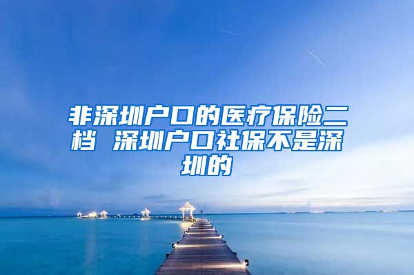 非深圳户口的医疗保险二档 深圳户口社保不是深圳的