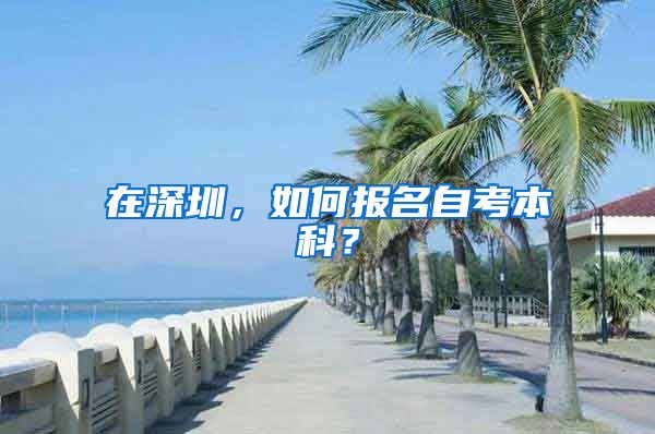 在深圳，如何报名自考本科？