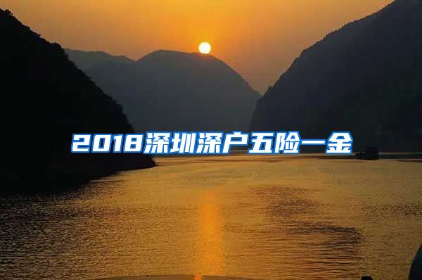 2018深圳深户五险一金