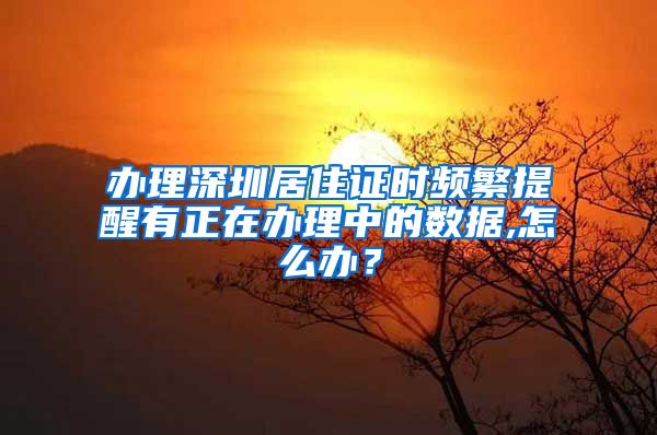 办理深圳居住证时频繁提醒有正在办理中的数据,怎么办？