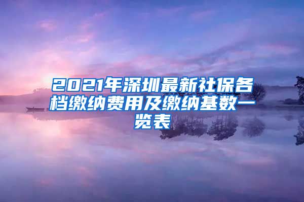 2021年深圳最新社保各档缴纳费用及缴纳基数一览表