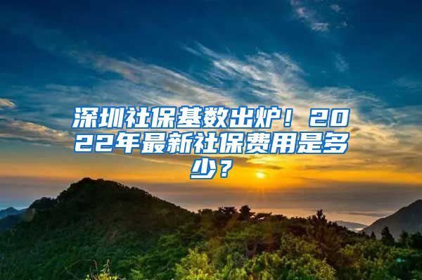 深圳社保基数出炉！2022年最新社保费用是多少？