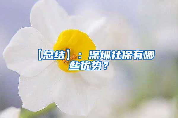 【总结】：深圳社保有哪些优势？