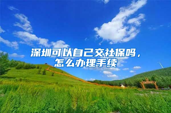 深圳可以自己交社保吗，怎么办理手续