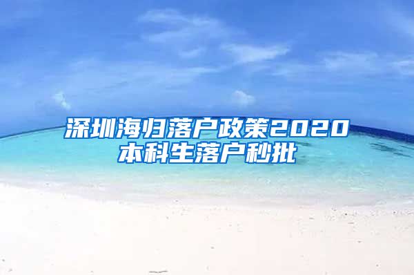 深圳海归落户政策2020本科生落户秒批