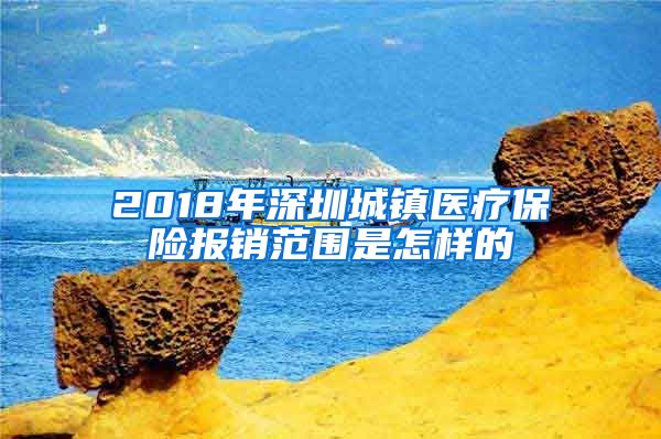 2018年深圳城镇医疗保险报销范围是怎样的