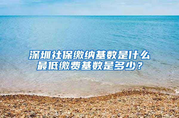 深圳社保缴纳基数是什么最低缴费基数是多少？