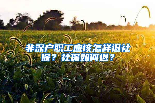 非深户职工应该怎样退社保？社保如何退？