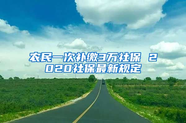 农民一次补缴3万社保 2020社保最新规定