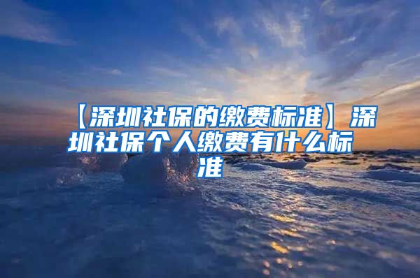 【深圳社保的缴费标准】深圳社保个人缴费有什么标准